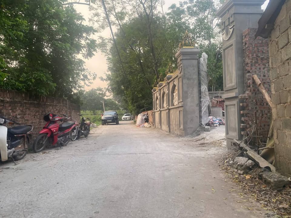 Đất nền thôn Đoàn Kết, xã Đạo Tú, huyện Tam Dương 113m² - Vị trí đắc địa đầu tư!