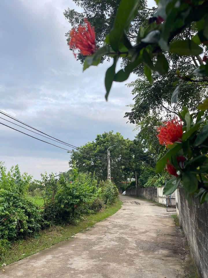 Đất nền Hồ Sơn, Tam Đảo 800m² giá 2 tỷ - View triệu đô sân golf và núi Tam Đảo!