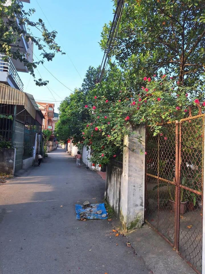 Đất An Tảo, Hưng Yên 138m² giá 4.35 tỷ - Đường thông ô tô tải tránh xe máy!