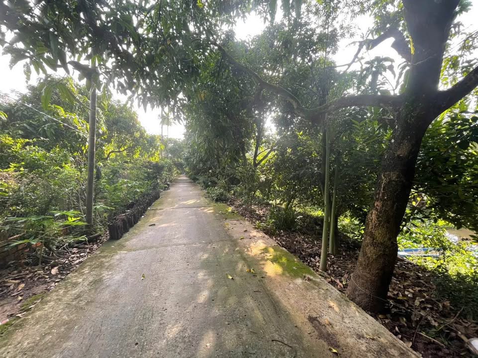 Bán lô đất Xếp Lá, Hoà An, Cao Lãnh 842m² giá 2.4 tỷ - Đầu tư sinh lời ngay!