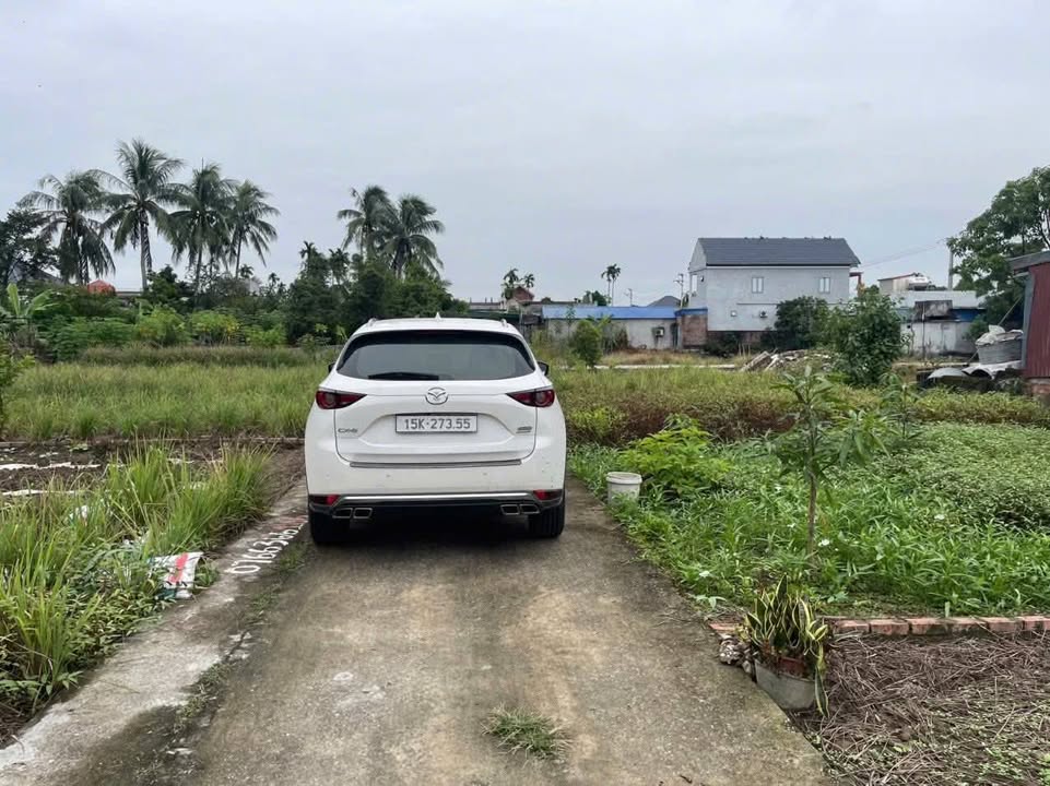 Đất nền Đại Bản Hải Phòng 60m² giá chỉ 870 triệu - Cơ hội đầu tư tuyệt vời!