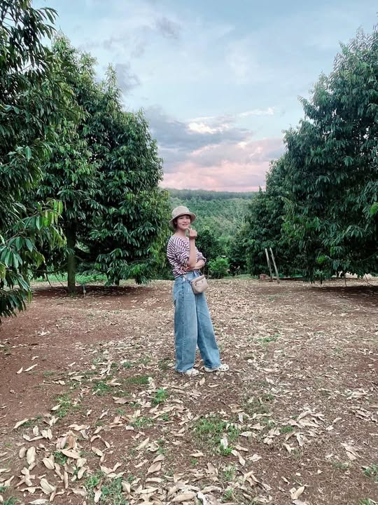 Quán karaoke 280m² tại xã Minh Hưng - Cơ hội đầu tư hấp dẫn chỉ 2 tỷ!