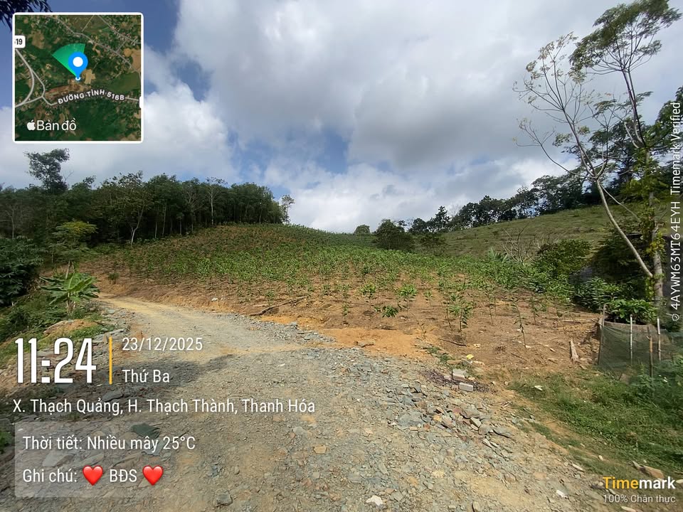 Đất thổ cư 1800m² Thạch Quảng, Thạch Thành giá 1 tỷ - Cơ hội đầu tư tuyệt vời!