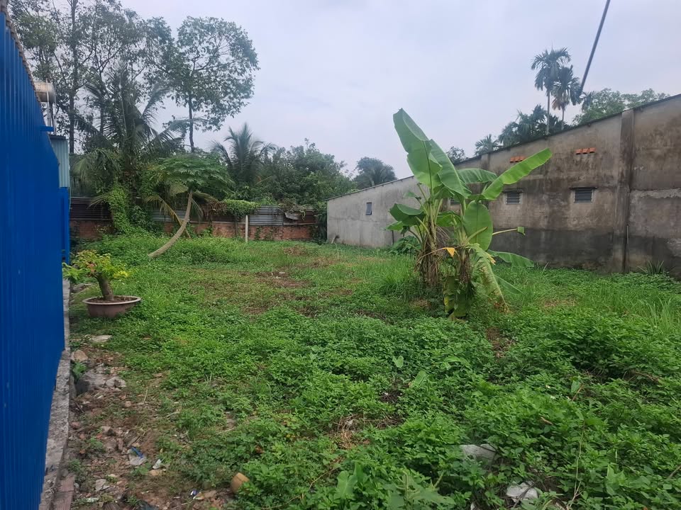 Đất nền Long Thành 174m² giá 4.1 tỷ - Cơ hội hiếm có đầu tư!