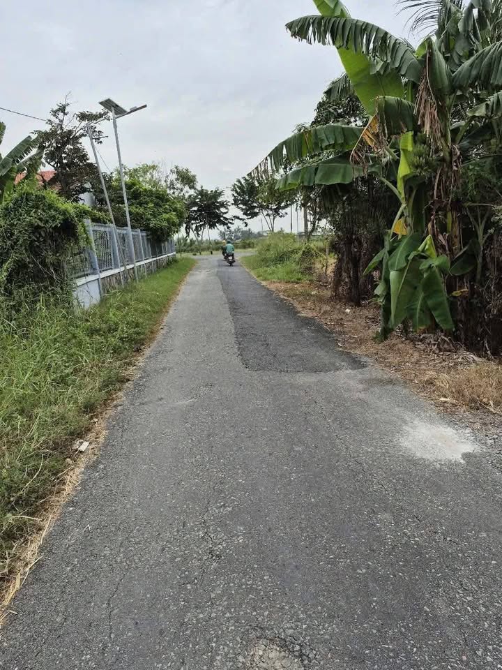 Nhà cấp 4 xã Hiệp Thạnh, Châu Thành 156.8m² giá 990 triệu - Hướng Đông thoáng mát!