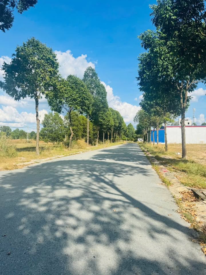 Đất liền kề mặt tiền đường N30-5A, Bàu Bàng, 150m² - Giá tốt, xây dựng tự do!