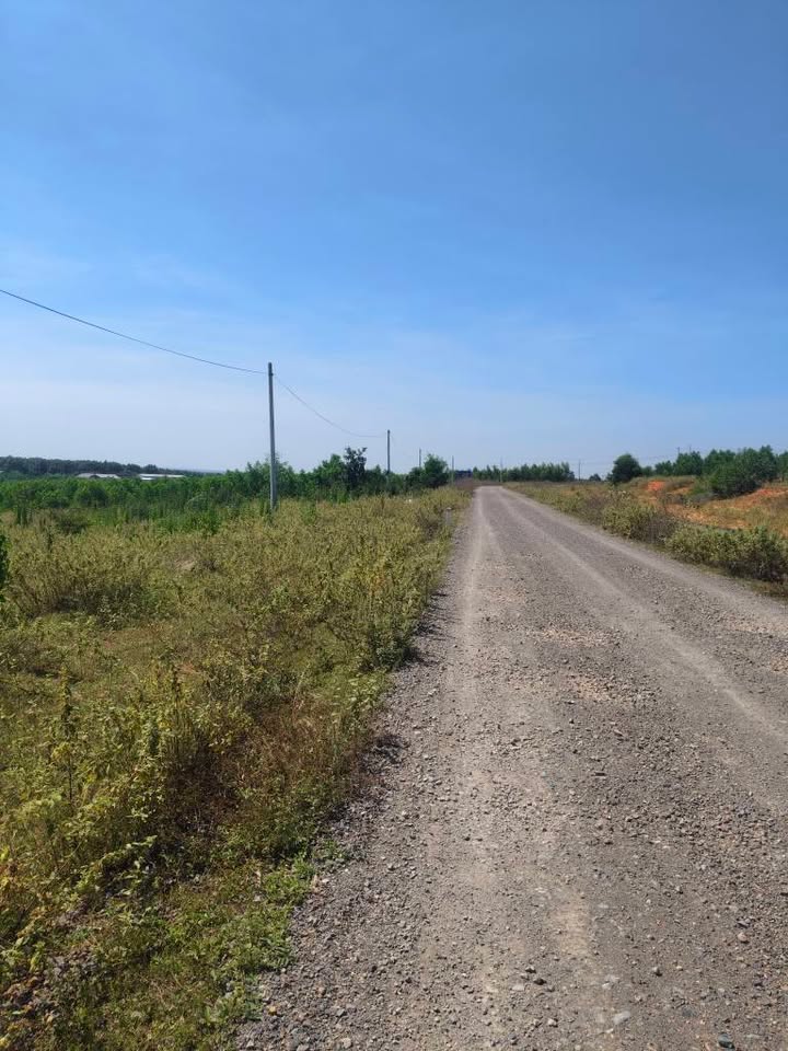 Đất nông nghiệp Hòa Thắng - Bắc Bình - 40.000m² giá thỏa thuận - Đầu tư sinh lời vượt trội!