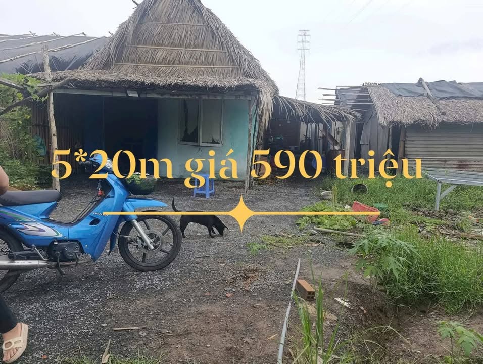 Đất nền xã Bình Khánh, Cần Giờ 1000m² giá 590 triệu - Cơ hội đầu tư hấp dẫn!