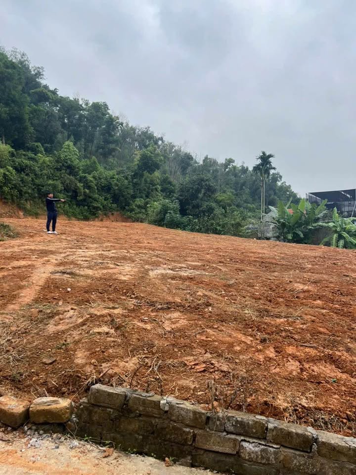 Bán đất thổ cư 805m² tại xã Việt Khê, Hải Phòng - Giá chỉ 3 tỷ!