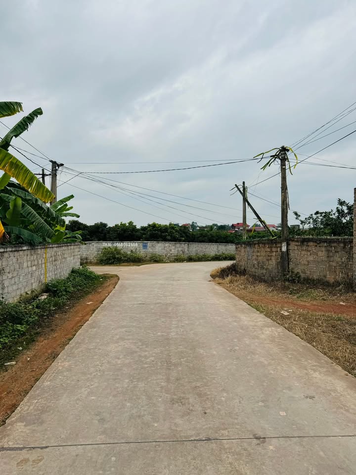 Đất thổ cư Hồng Giang 167m² giá thỏa thuận - Đường thông thoáng, mặt tiền 6m