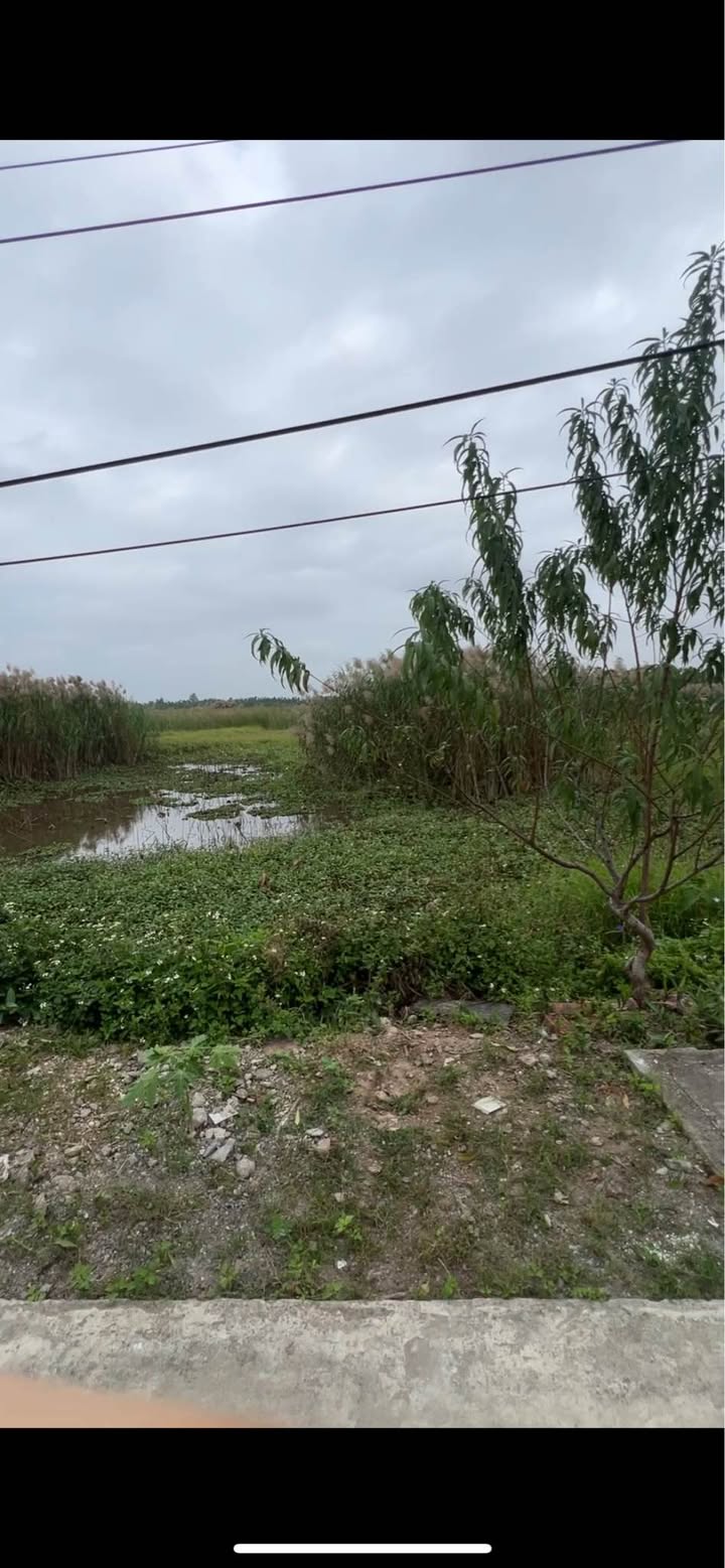 Đất nền thôn Lâm Động, Thủy Nguyên 110m² giá 3.0x tỷ - Đầu tư sinh lời ngay!