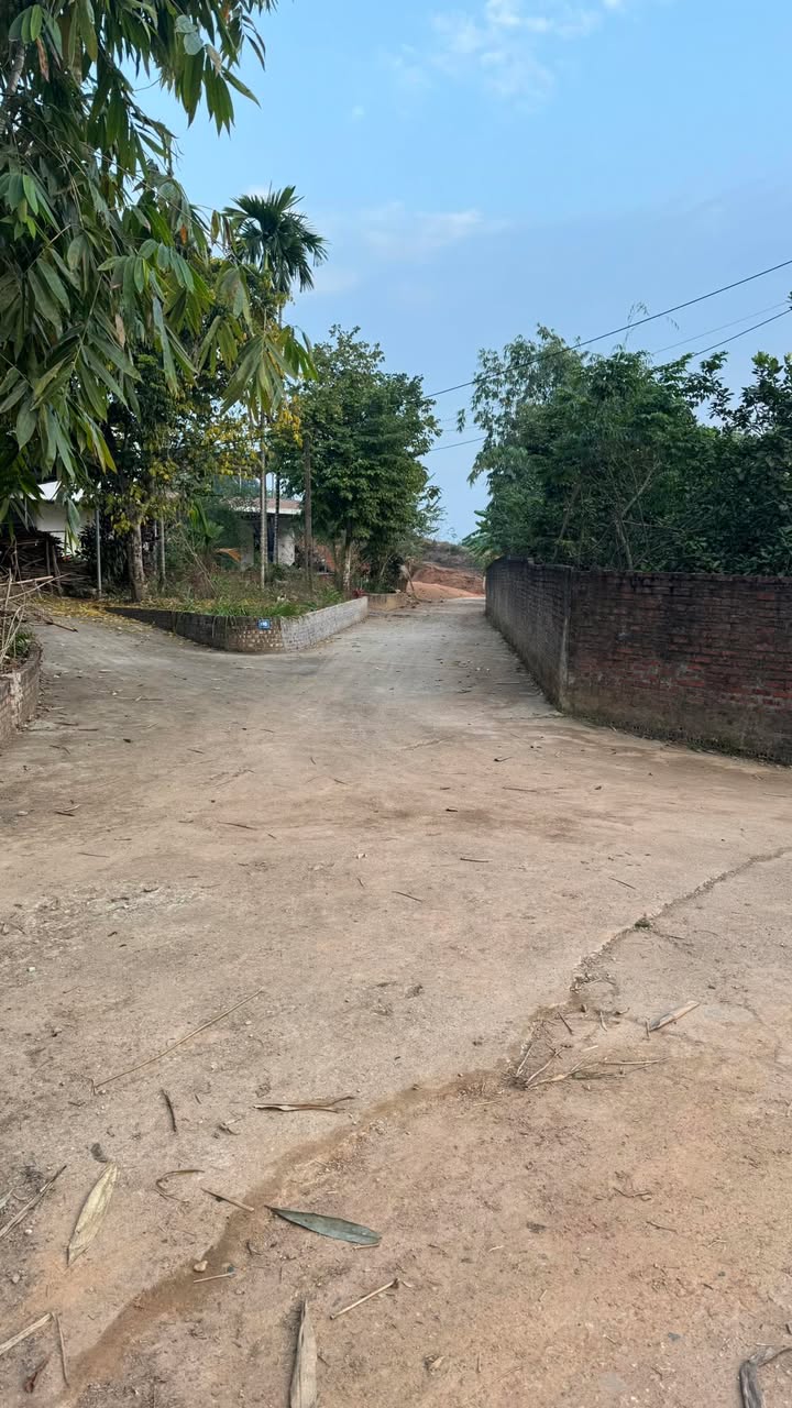 Đất nền TDP Đồng Lem, phường An Tường 180m² giá 1.1 tỷ - Đầu tư sinh lời ngay!