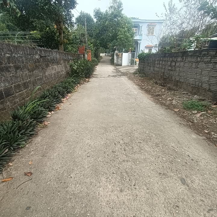 Đất nền Tuyên Quang 130.5m² giá 1.1 tỷ - Sổ đỏ chính chủ, đầu tư lý tưởng!