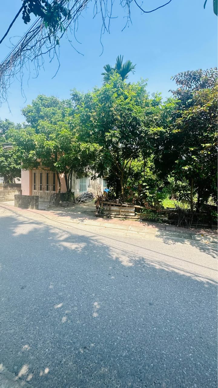 Đất thổ cư Tuyên Quang 120m² giá 2.3 tỷ - Vị trí đẹp, kinh doanh thuận lợi!