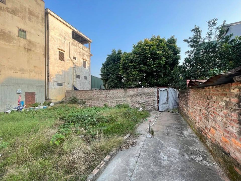 Đất nền Thượng Thanh 55m² giá 5 tỷ - Sổ đỏ chính chủ, không quy hoạch!