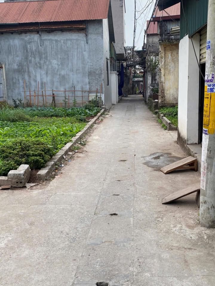 Đất nền góc Vạn Điểm, Thường Tín 82m² - Khu dân cư đông đúc, giá thỏa thuận!