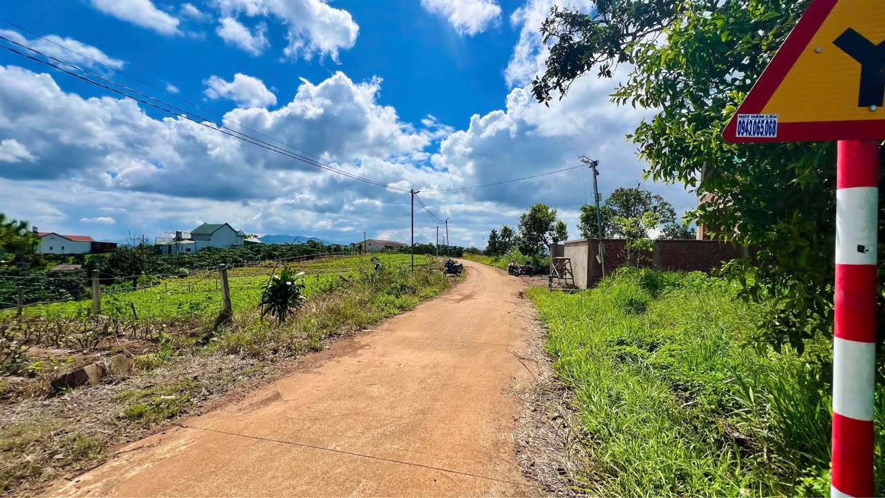 Đất nền Hẻm Nguyễn Thanh Ba, Bảo Lộc 689m² giá 3 tỷ - Vị trí đẹp với nhiều tiềm năng!