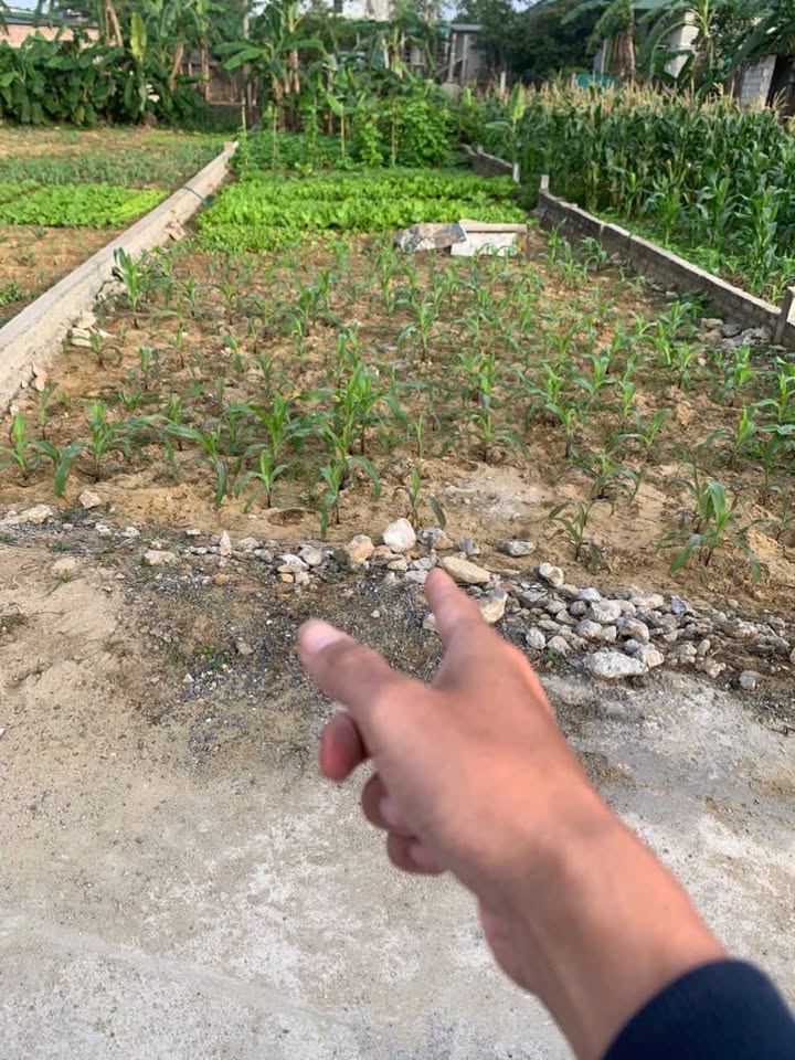 Đất nền Nghi Phong 134.6m² giá 2.73 tỷ - Vị trí đắc địa gần trường học