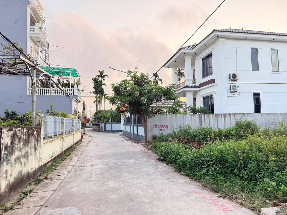 Đất Xích Thổ, An Hải 55m² giá 1.45 tỷ - Vị trí đắc địa gần Bùi Viện!