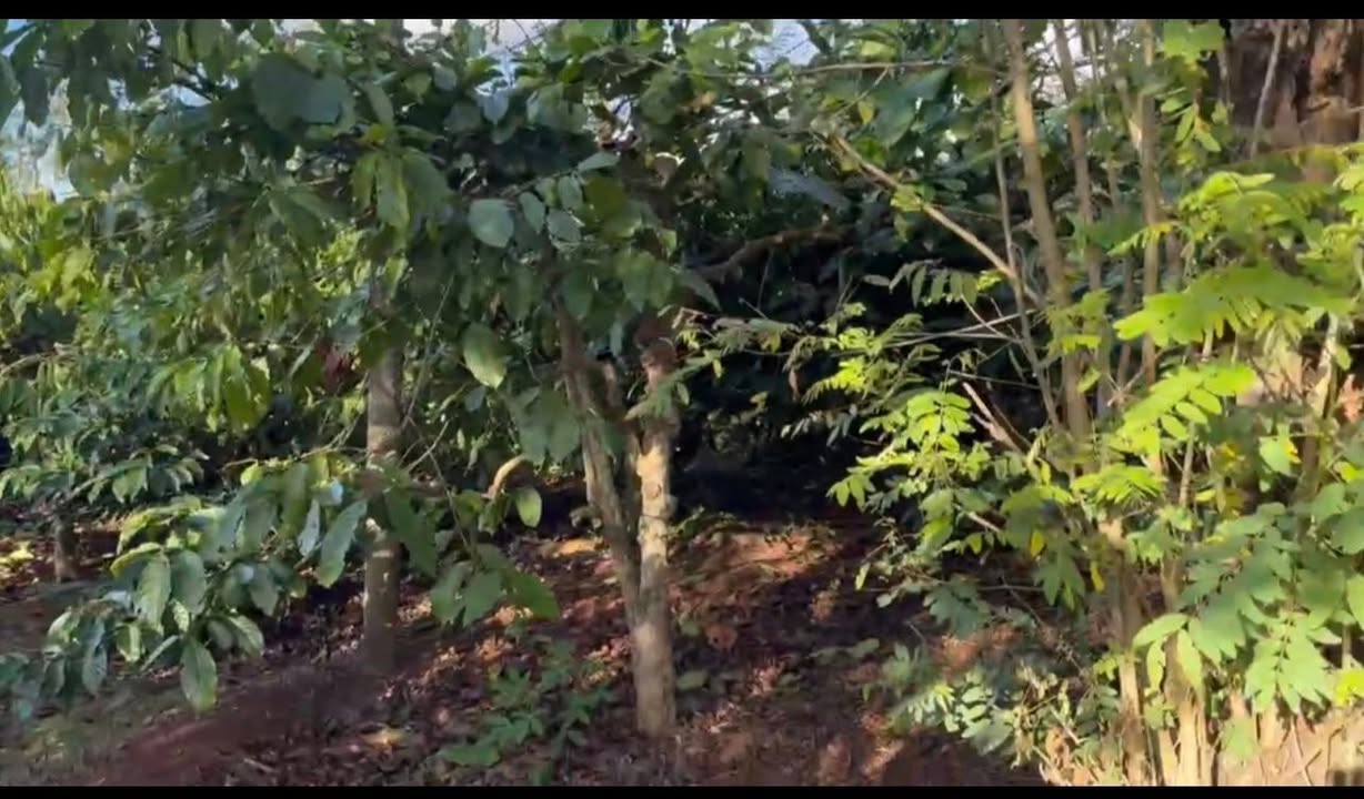 Đất nền chính Trương Định, An Phú, Gia Lai 5600m² - Đầu tư sinh lời ngay!