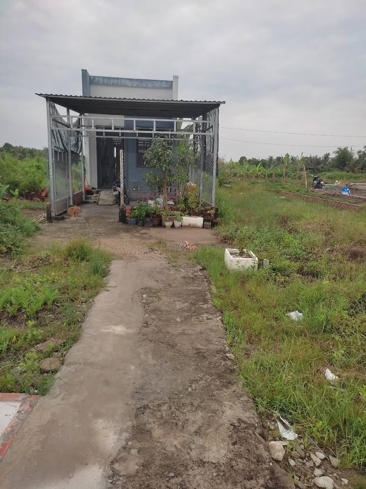 Nhà cấp 4 Hưng Mỹ 500m² giá 1.1 tỷ - Sổ hồng chính chủ, mặt tiền đường lớn!