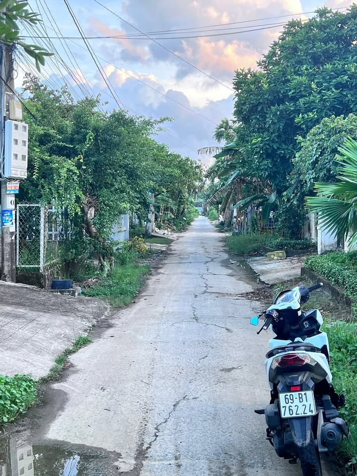 Đất nền Lý Văn Lâm Cà Mau 531m² giá 1 tỷ - Nhà có sân vườn rộng rãi