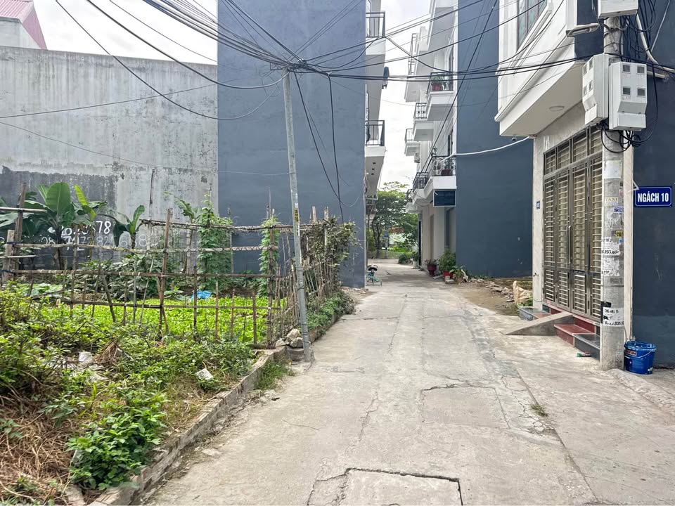 Đất nền TDP Bạch Mai, An Hải, Hải Phòng 50.4m² giá 1.8 tỷ - Vị trí đắc địa, tiềm năng tăng giá cao!