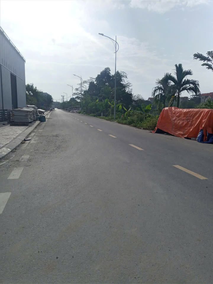 Đất nền Trưng Trắc, Văn Lâm 100m² giá thỏa thuận - Cơ hội đầu tư sinh lời cao!