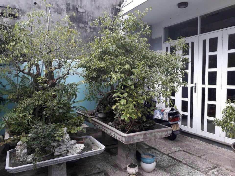 Nhà phố Nha Trang 165m² giá 14.5 tỷ - Gần biển, hẻm ô tô 6m!