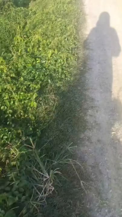 Đất nền 14 công tại Tháp Mười, Đồng Tháp - Mặt tiền đường đá xanh, giá 2.9 tỷ