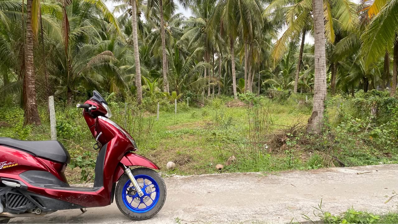 Đất nền Trung Ngãi Vũng Liêm 125m² giá tốt - Sổ đỏ chính chủ!