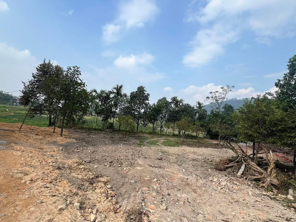 Đất Farm Đại Đình - Tam Đảo 500m² giá 1.1 tỷ - Đầu tư sinh lời hấp dẫn!