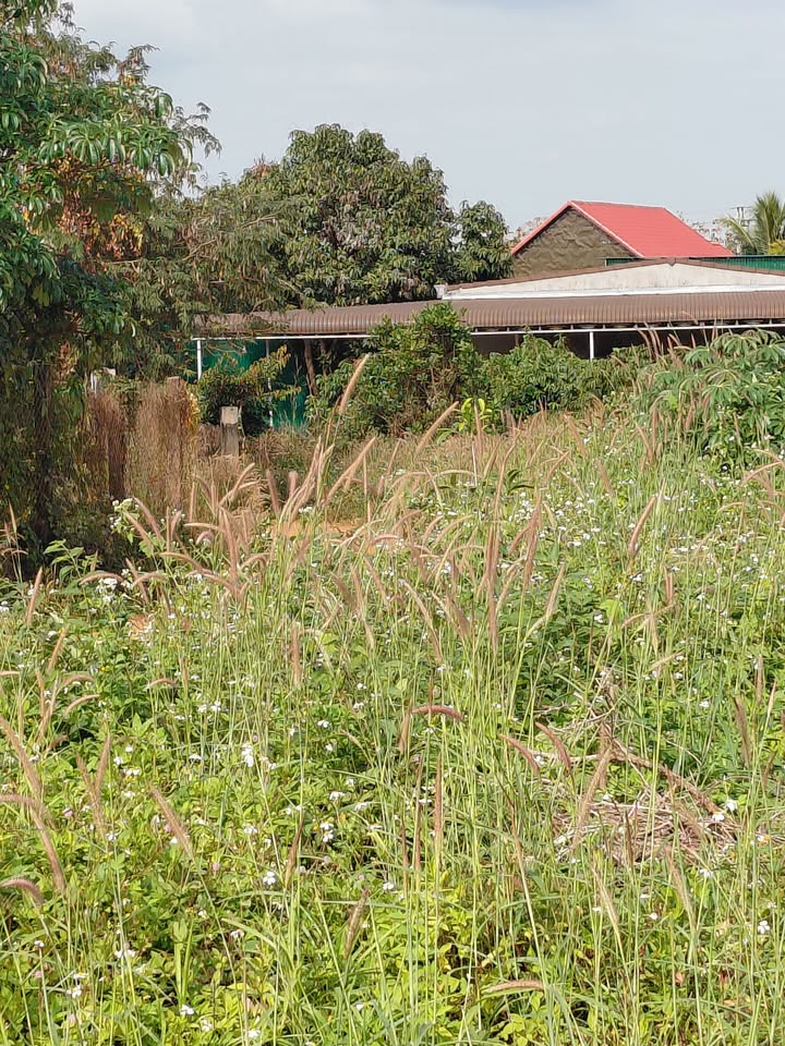 Đất nền Quảng Hiệp Cư M'gar 360m² - Vị trí đắc địa, cơ hội đầu tư sinh lời!