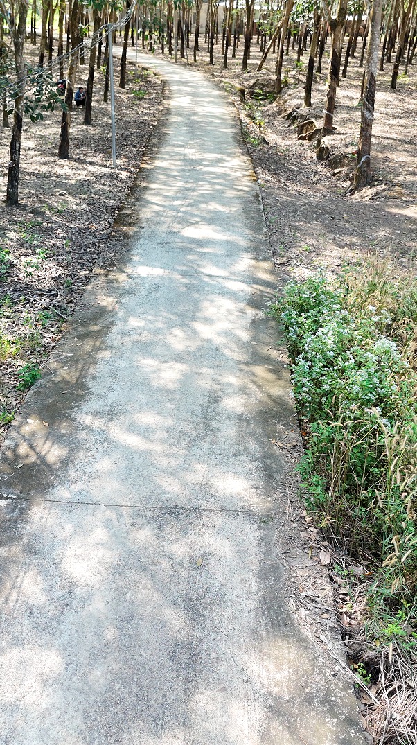 Đất nền 4 Sào tại Ấp 3, Tân Thành, Đồng Xoài - Giá chỉ 2,5 tỷ - Sổ hồng chính chủ!