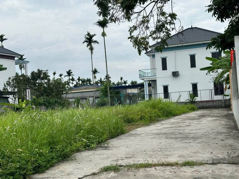 Đất nền Trường Thọ, An Lão, Hải Phòng 70m² giá 900 triệu - Đầu tư sinh lời ngay sát KCN Tràng Duệ