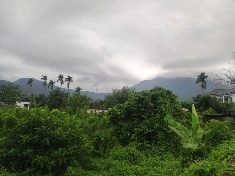 Đất nền Yên Bài Ba Vì 5687m² - Tiềm năng nghỉ dưỡng tuyệt vời!