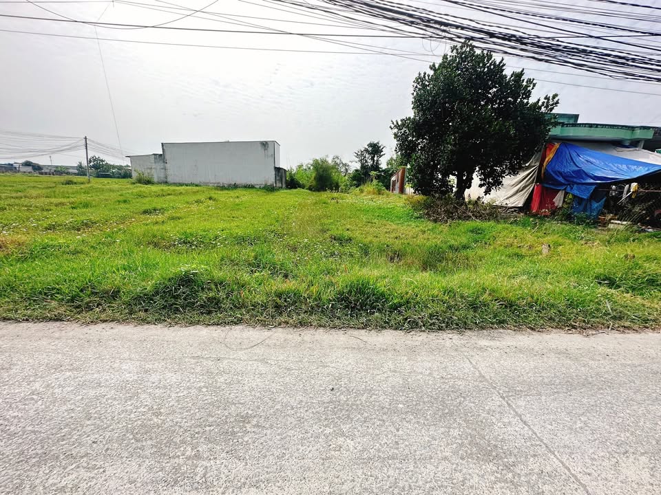 Đất nền Đức Hoà Hạ 400m² giá 4.1 tỷ - Đầu tư sinh lời ngay cạnh KCN Tân Đức!