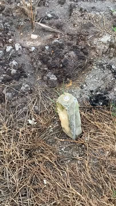 Đất lúa 2000m² tại xã Mỹ Thạnh, Thủ Thừa, Long An - Giá chỉ 650 triệu