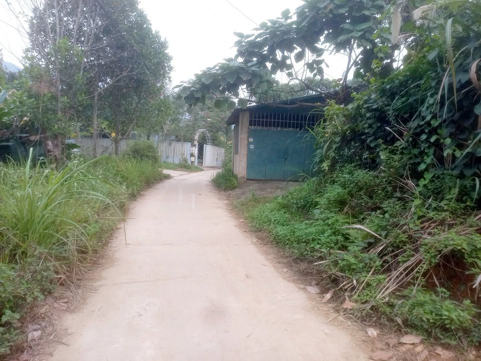 Lô đất Nông Tiến Tuyên Quang 260m² giá 1.6 tỷ - Sổ đỏ chính chủ sang tên ngay!