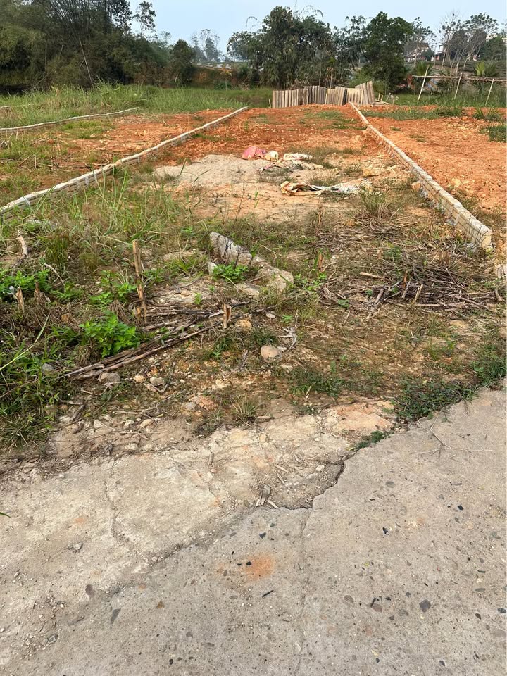 Đất An Tường Tuyên Quang 134m² giá 1.08 tỷ - Bán nhanh, vị trí đắc địa!