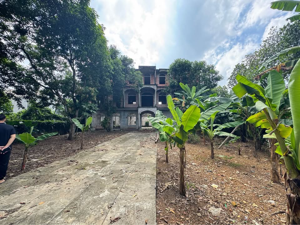 Đất nền Hòa Lạc 1000m² giá tốt - Đầu tư sinh lời ngay!