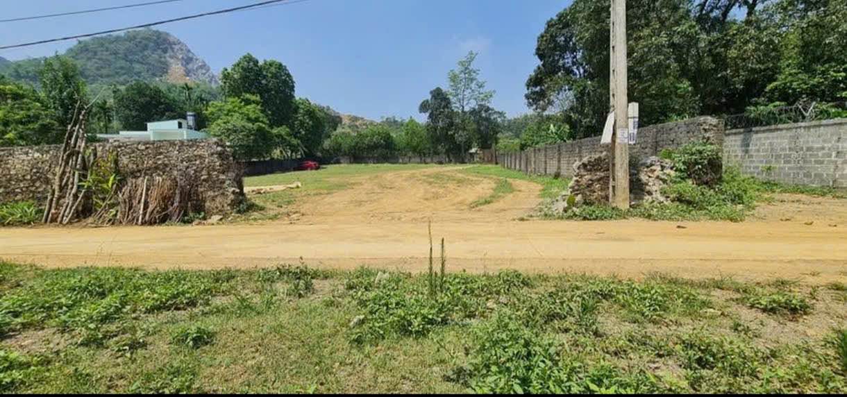 Đất nền Tân Vinh Lương Sơn 2460m² giá chỉ 3.x triệu - Sổ đỏ chính chủ