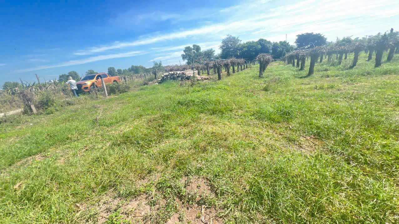 Đất nền 1 sào Hàm Chính, Hàm Thuận Bắc 3.600m² - Cách Phan Thiết chỉ 8km, giá thỏa thuận!