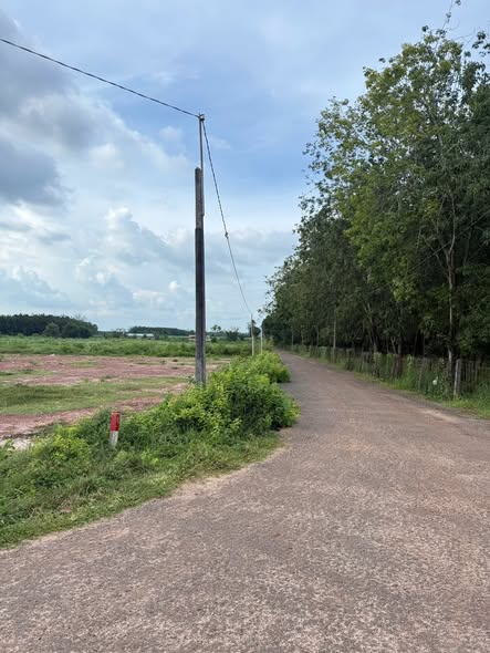 Đất nền Trà Vong, Tân Biên 1500m² giá chỉ 2.7 tỷ - Cơ hội đầu tư sinh lời!