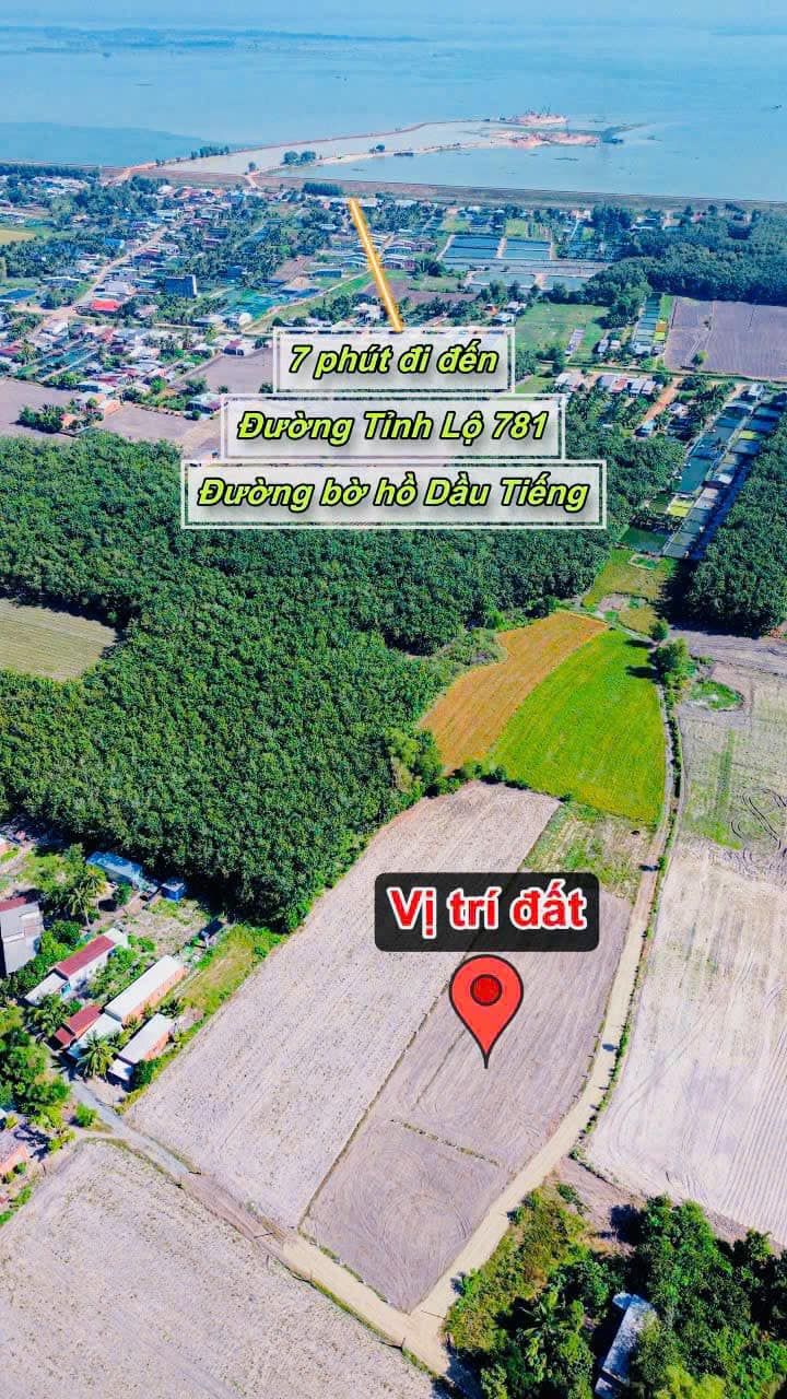 Đất thổ cư Phước Minh Dương Minh Châu 165m² giá chỉ 259 triệu - Gần chợ và nhiều tiện ích!