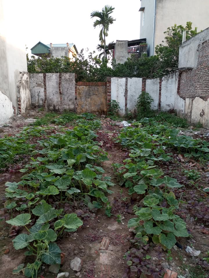 Đất thổ cư Lệ Chi 103m² giá chỉ 2.979 tỷ - Cơ hội đầu tư tuyệt vời!