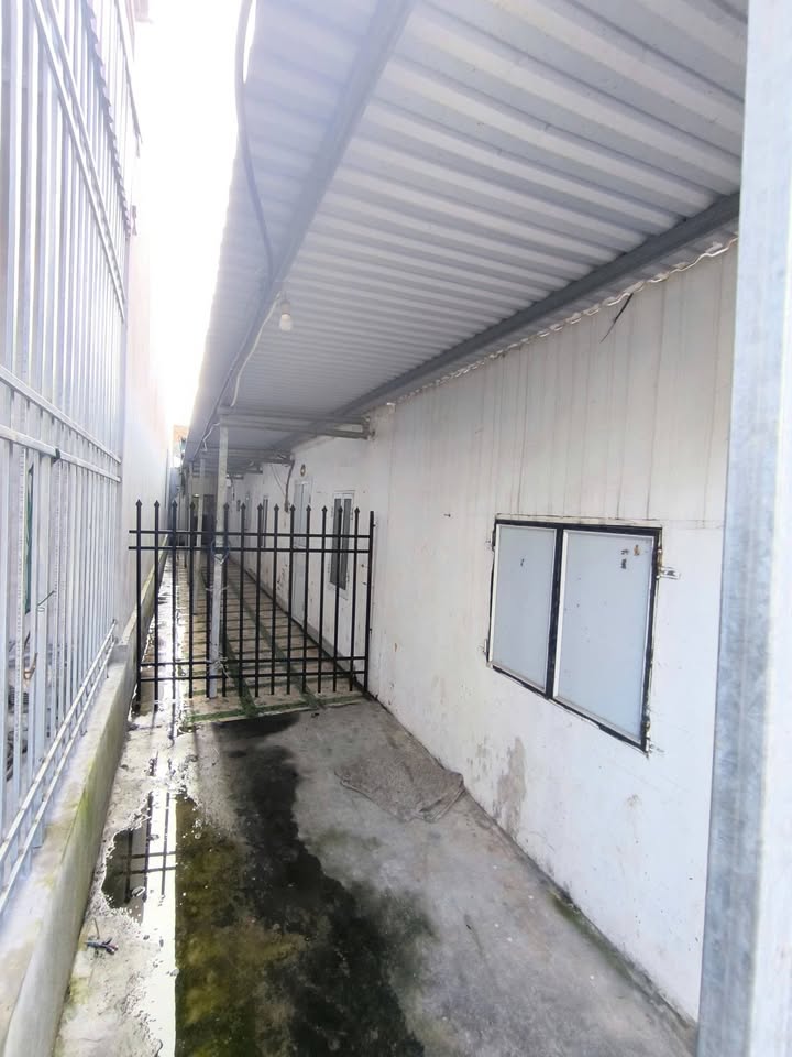 Bán đất tặng nhà cấp 4 tại Khu phố 2, Nghĩa Hưng - Diện tích 125m², giá 1.1 tỷ