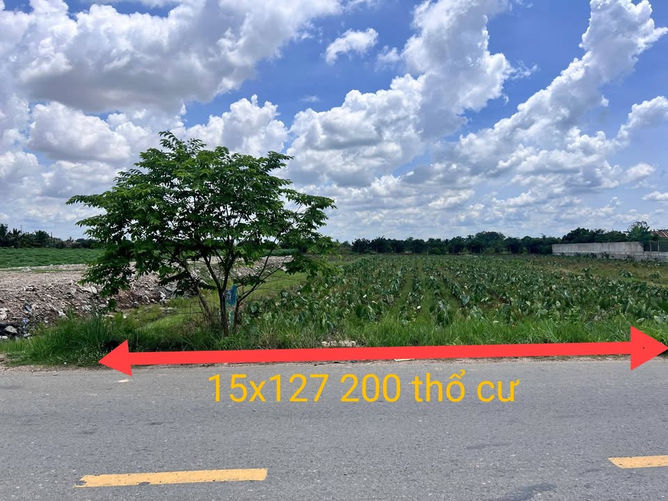 Đất thổ cư Khu Phố 1, Bến Cầu 1905m² giá 4.875 tỷ - Vị trí trung tâm kinh doanh sầm uất!