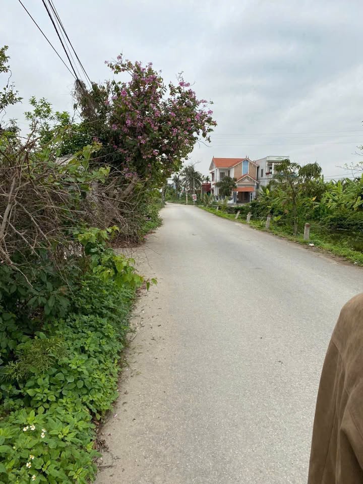 Đất nền Minh Đức Đồ Sơn 583m² giá 3.4 tỷ - Cơ hội đầu tư sinh lời!