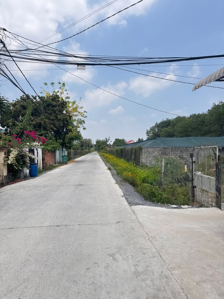 Đất vườn Tân An Hội 605m² giá 1.4 tỷ - Sổ đỏ chính chủ, ô tô vào tận nơi!